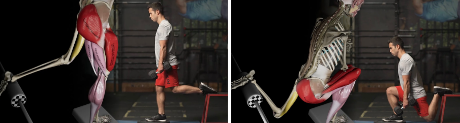 32.png 32.png